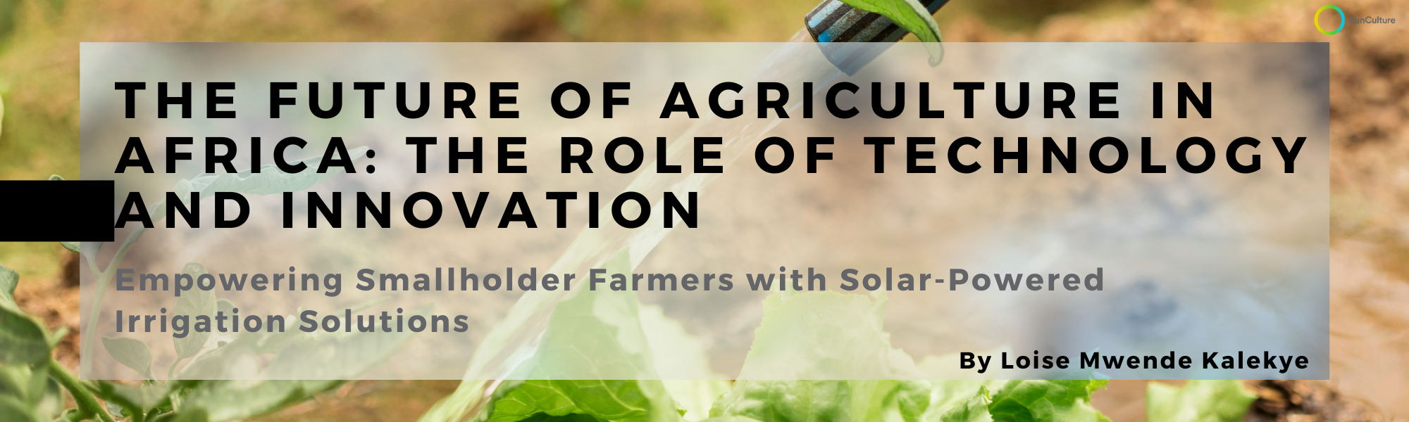 The Future of Agriculture in Africa - SunCulture